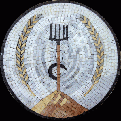 IN108 Mosaic